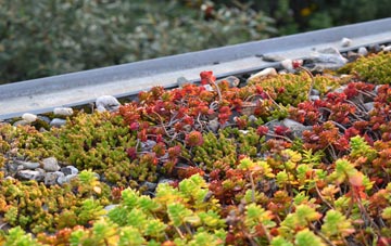 the cost of Silton green roof installation