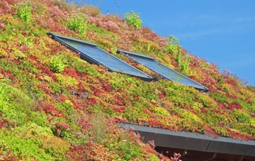 Silton living roof systems
